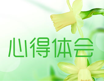 心得體會范文